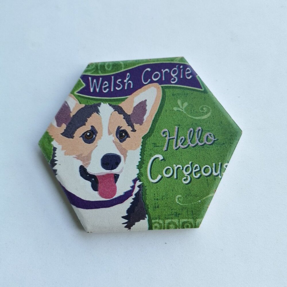 Adorable Welsh Corgie Green Coaster